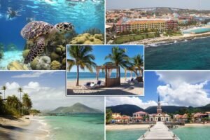 Caribbean-holiutuuda